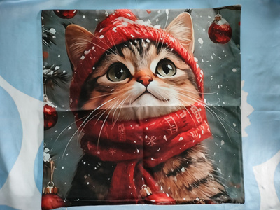 ~Koristetyynynpäällinen~ kissa