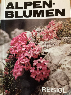 ALPENBLUMEN