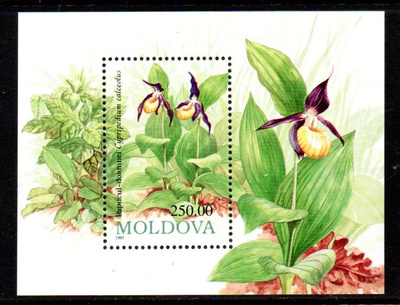 Moldova