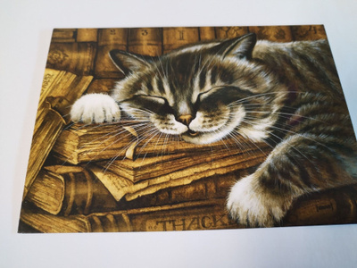 Kissa kortti,kulkematon.