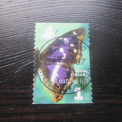 Päiväperhosia (lape 1851) 2007