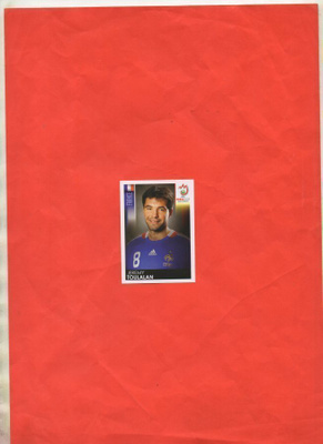Panini Euro-Jalkapallo n:o 348 2008 Keräilykuva