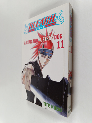 Tite Kubo : Bleach, 11 - Star and a stray dog