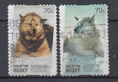 KOIRA aihetta AUSTRALIAN ANTARKTIS