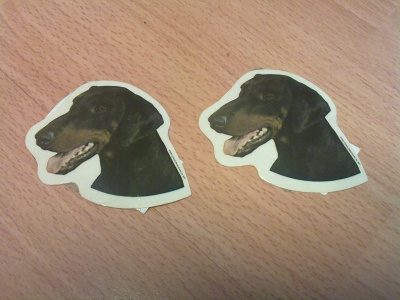 Dobermanni pikkutarrat