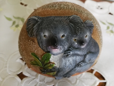 Coala kivikoriste