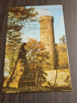 Tallinna, näkymä Pitkälle Hermannille (1300-1400-luvulla) pk