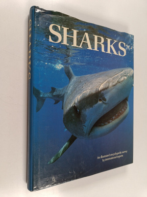 John D. Stevens : Sharks