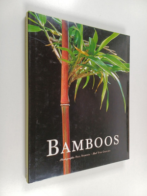 Yves Crouzet : Bamboos