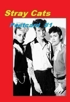 STRAY CATS --- postikortti #1 --- 9cm x 13cm