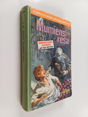 Franklin W. Dixon : Mumiens resa