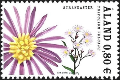Åland 2007  Rantakukkia Meriasteri  0,80 €  ** LaPe 273