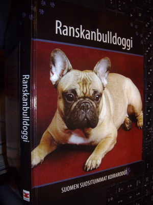 Ranskanbuldoggi   (Suomen suosituimmat koirarodut)