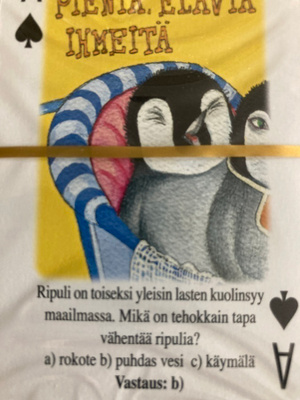 YK:N VUOSITUHATTAVOITTEET - PELIKORTIT