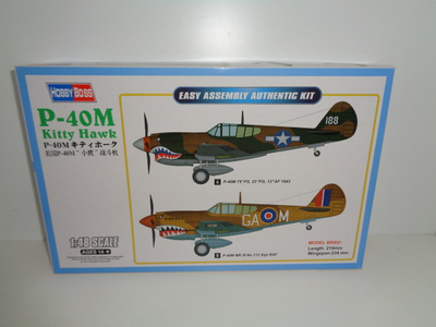 P-40M Kitty Hawk   1/48