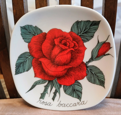 Arabia, Esteri Tomula, Rosa Rosa baccara