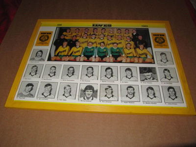 FC ILVES Suomen Mestari v.1983 GREAT!