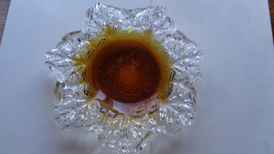 HUMPPILAN LASI KASVIMAALLA SARJAA