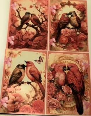 Korttikuvat LINNUT / 4 kpl -setti / A6