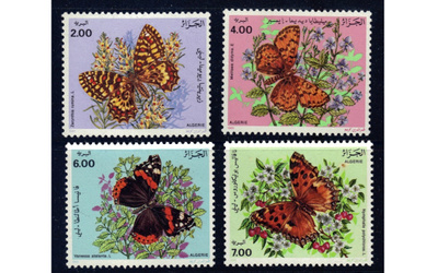 Algeria 1991 perhossarja **