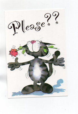 °°PLEASE ? ?°° - KORTTI  /ALEX...Karto