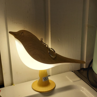 LED LINTU
