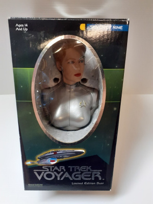 STAR TREK  - SEVEN OF NINE bust  - HEAD HUNTER STORE.