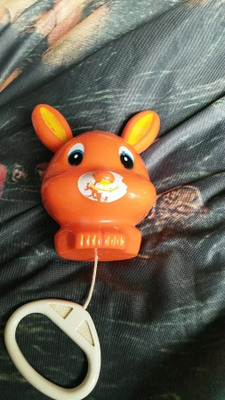 Soittorasia pupu