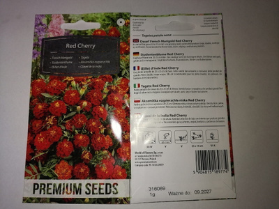 Ryhmäsamettikukka "Red Cherry" - siemenet #