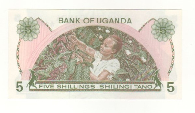 Uganda 5 Shillings 1982 pakkasileä seteli