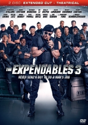 The Expendables 3 (DVD)