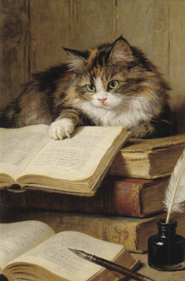 Kissa kortti
