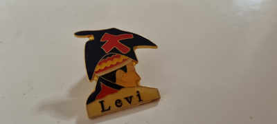 Levi Pinssi