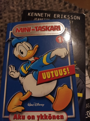 Mini taskari 1