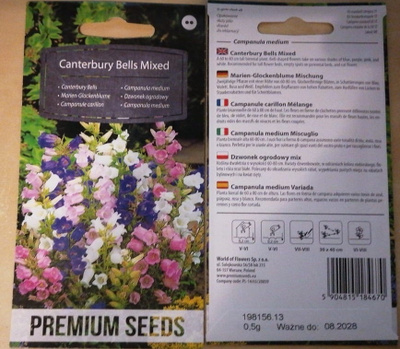 Maariankello 'Canterbury Bells - Mixed' - siemenet #
