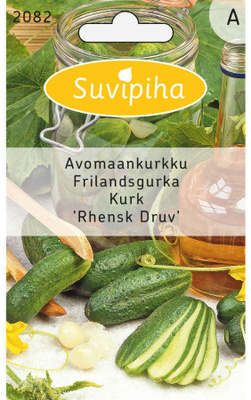 Kurkun siemenet "Rhensk druv" #