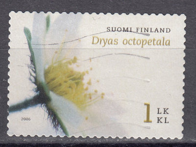 2006 Lape 1807 Lapinvuokko