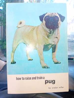 Evelyn Miller : How to raise and train A Pug ( SIS POSTIKUL)