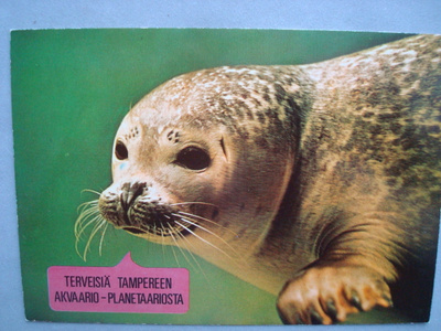 Tampereen akvaario-planetaarion asukki