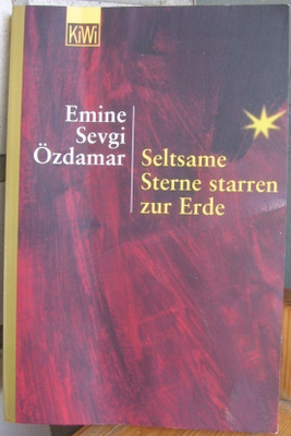 Emine Sevgi Özdamar: Seltsame Sterne starren zur Erde. 248 s