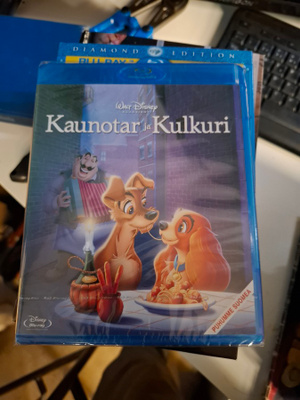 Kaunotar ja kulkuri