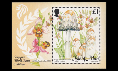 Mansaari 655BL24 ** Sieniä (1995)