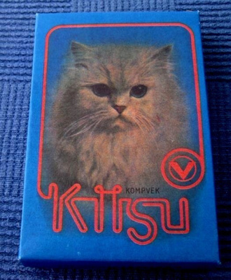 Kissa pahvirasia