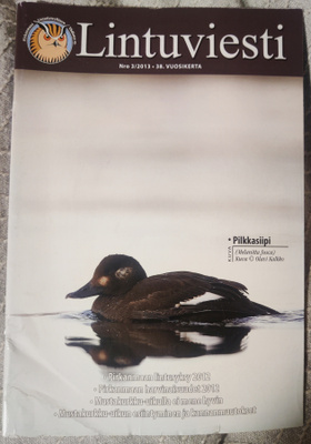 LINTUVIESTI 3/2013 Pily yhdistyslehti