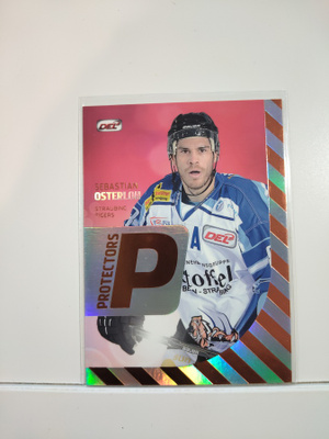 2012-13 Playercards (DEL) - Protectors Parallel #DEL-PR13