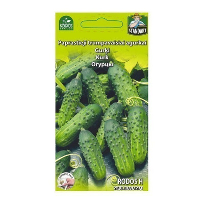 Kurkku "RODOS H" - siemenet #