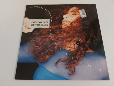 GLORIA ESTEFAN - INTO THE LIGHT ( LP . VINYYLI )