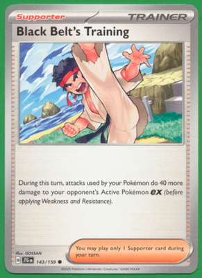 Pokémon Black Belt's Training