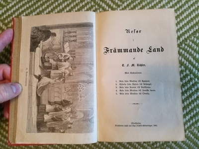 T. F. M. Richter: Resor i främmande land (1870-92)