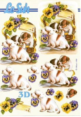 3D KUVA "°KOIRAT  ORVOKKIKORISSA°" / Le Suh